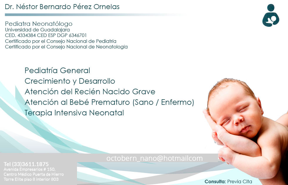 Dr. Nestor Bernardo Pérez Ornelas